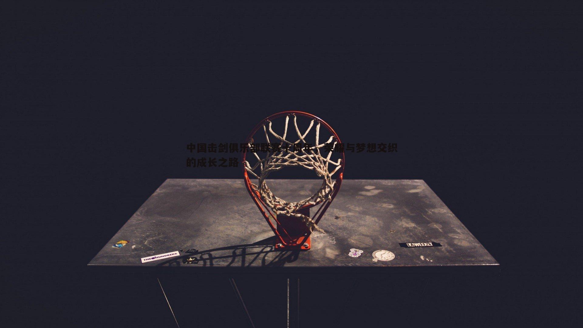 中国击剑俱乐部联赛十周年,荣耀与梦想交织的成长之路